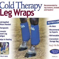 EQUESTRIAN THERAPY