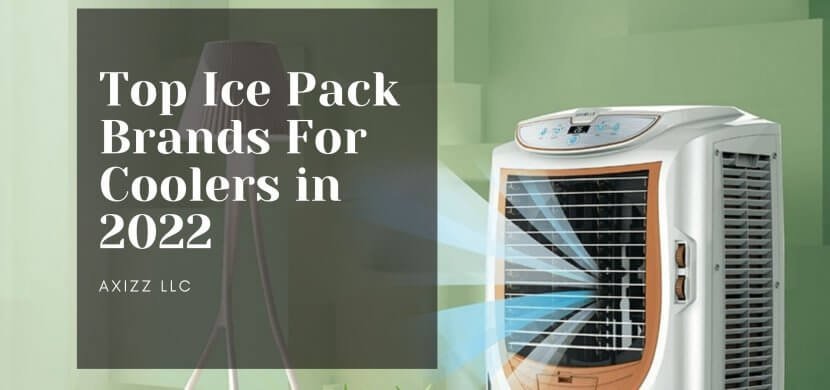 Ice Pack Brands For Cooler in 2022